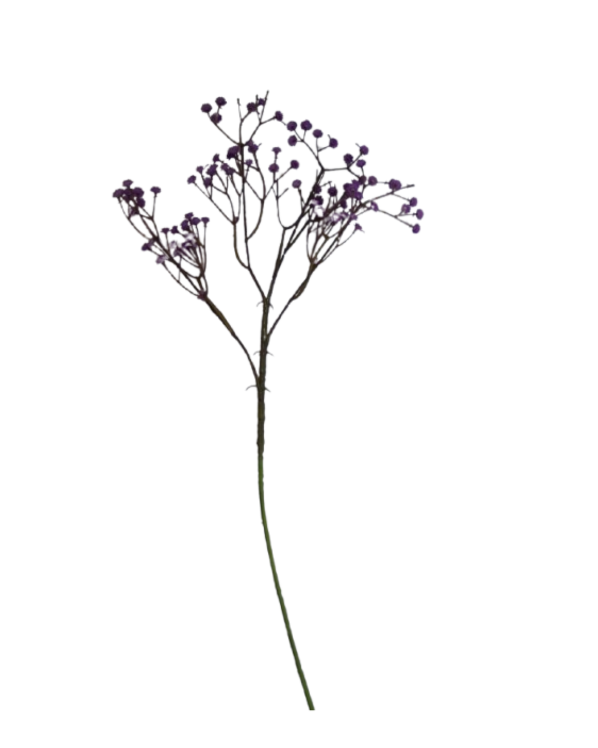 png_1500x1500_63988991