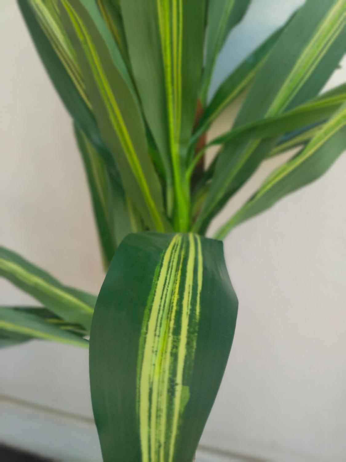 jpg_1500x1500_61837803