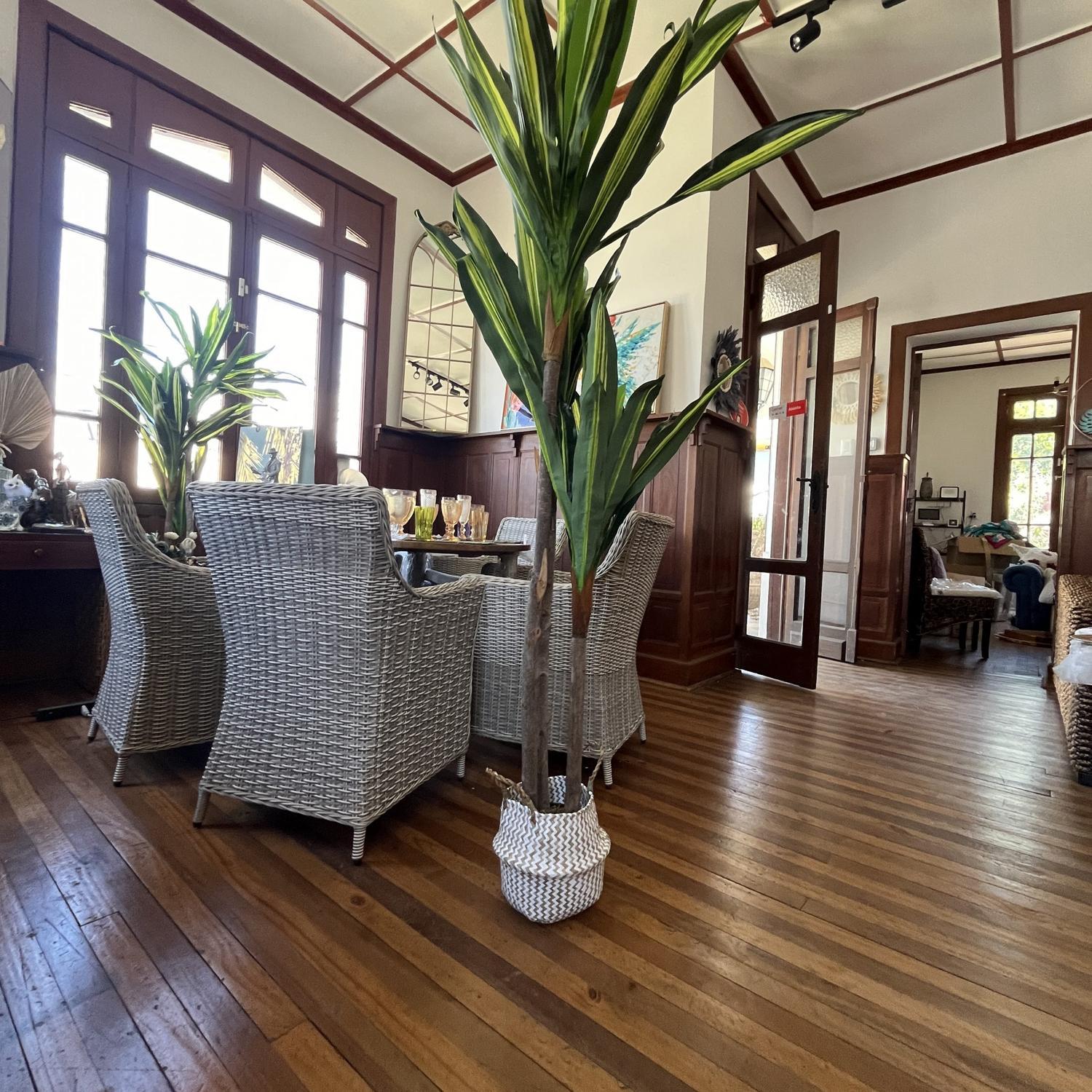 jpg_1500x1500_60595176