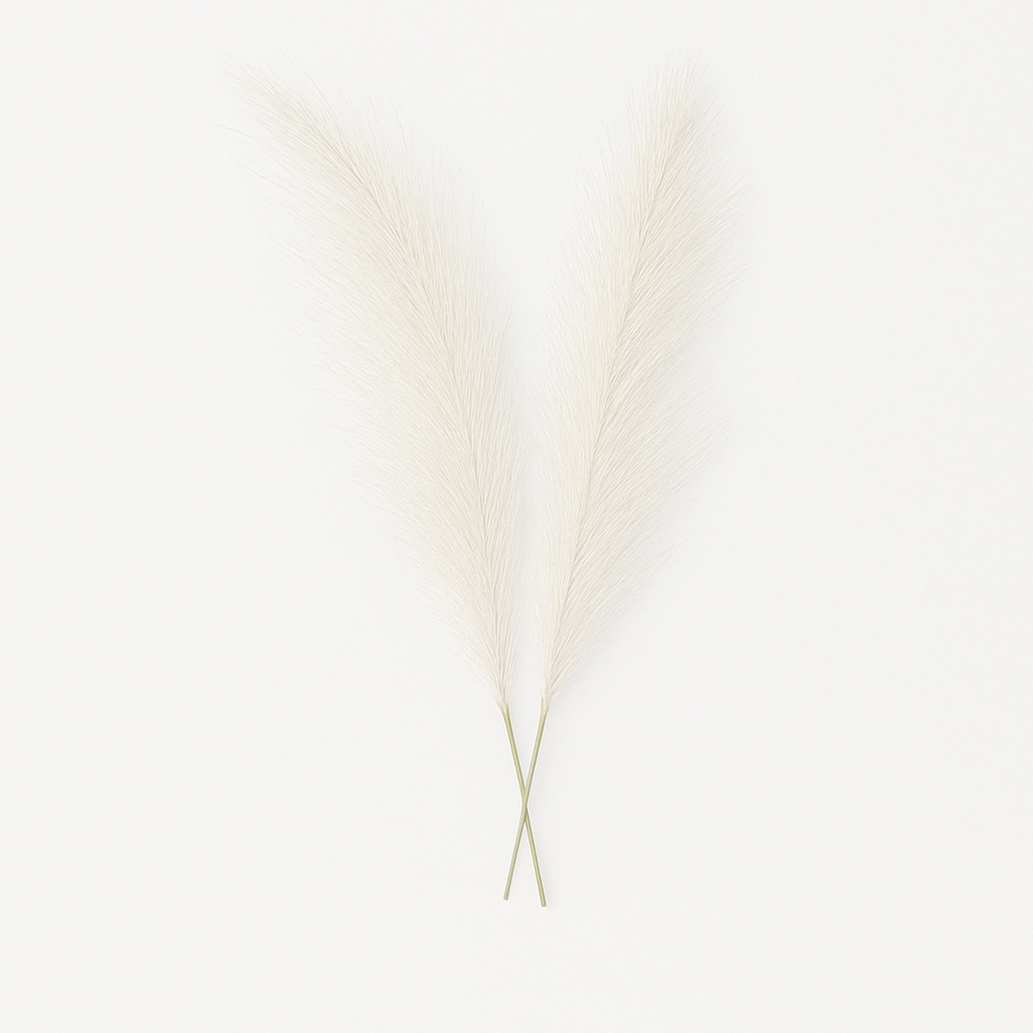 png_1500x1500_63944177