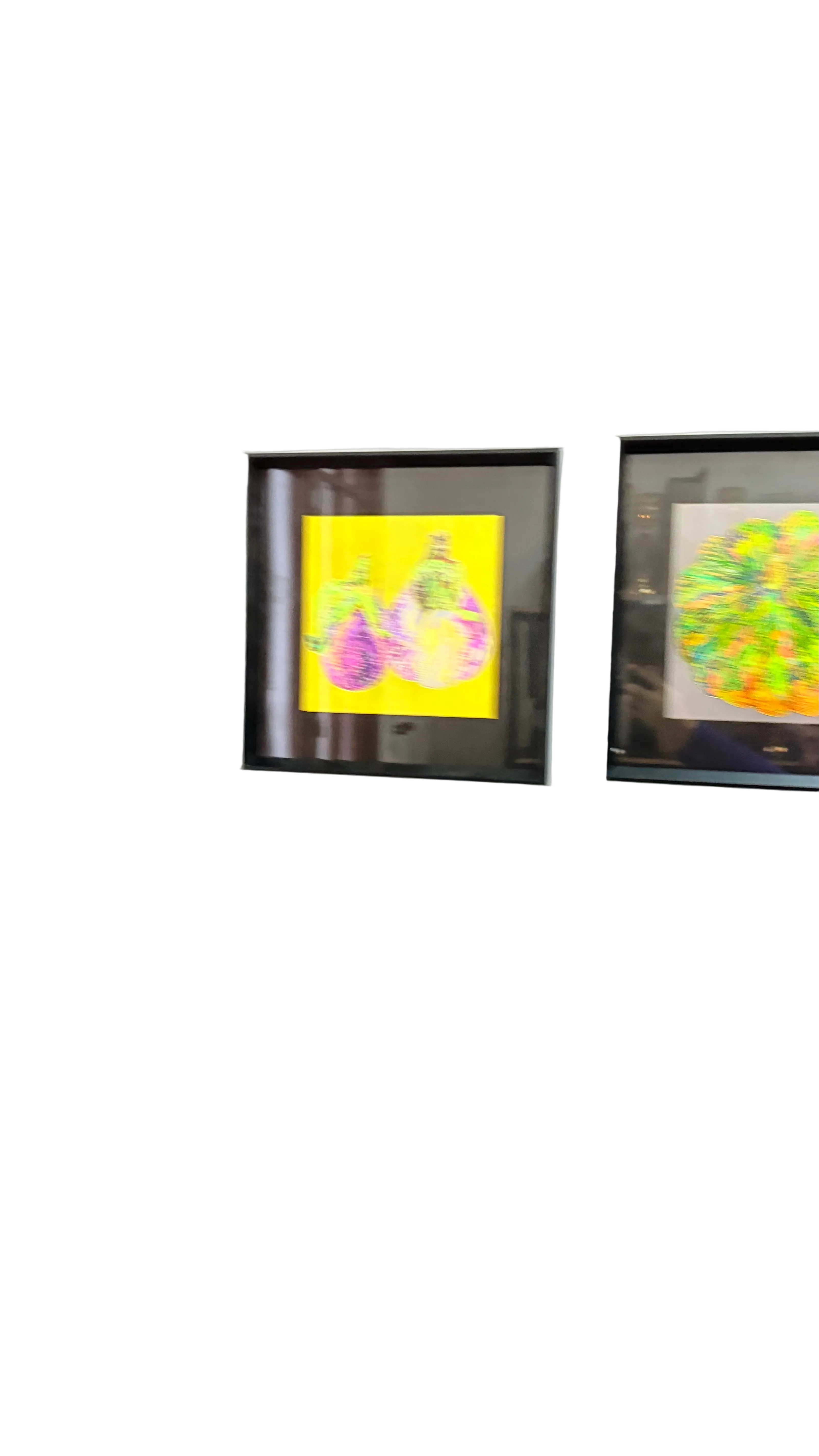 Set de 2 Cuadros Verdura