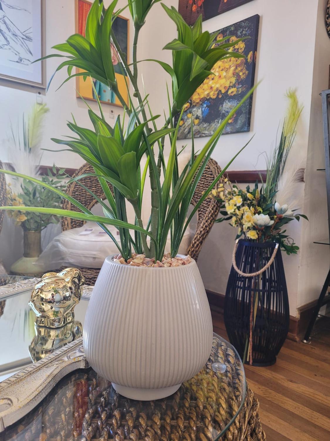 jpeg_1500x1500_61874822