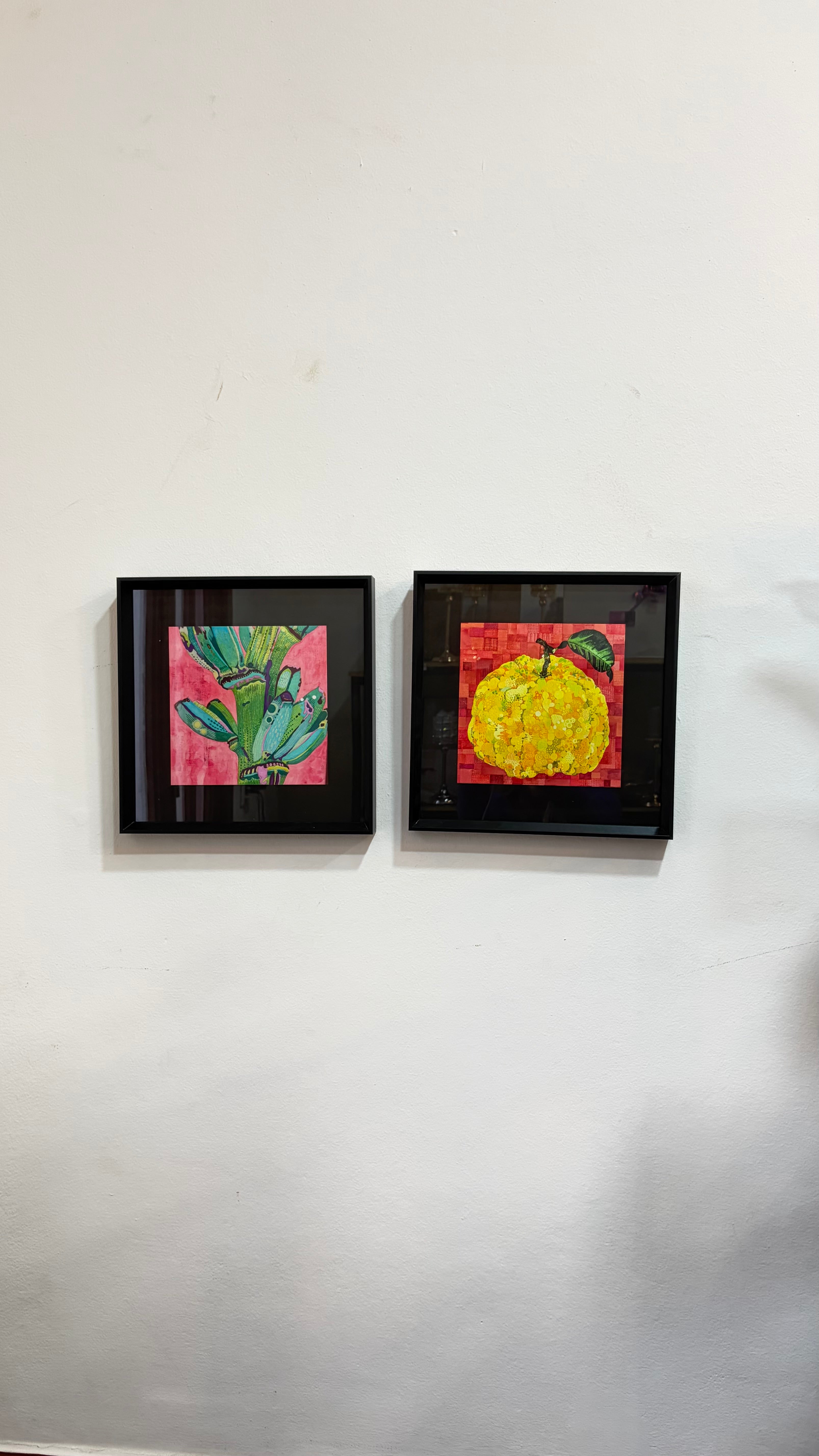 Set de 2 Cuadros Verduras