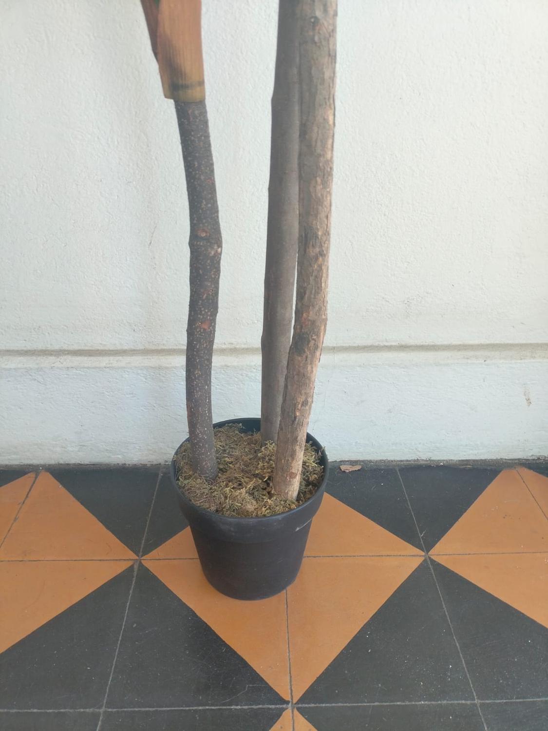 jpg_1500x1500_61837796