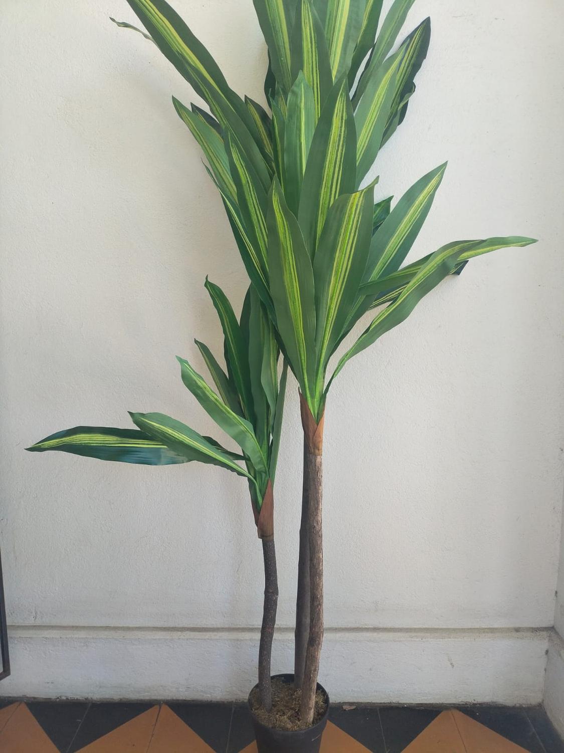 jpg_1500x1500_61837800