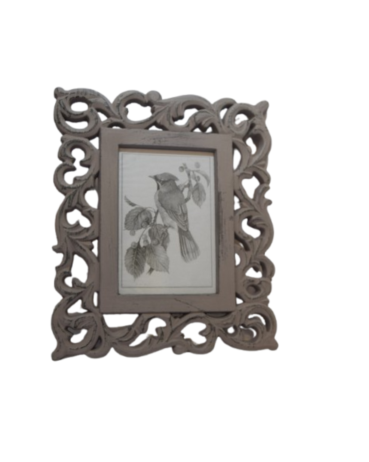 png_1500x1500_64013891