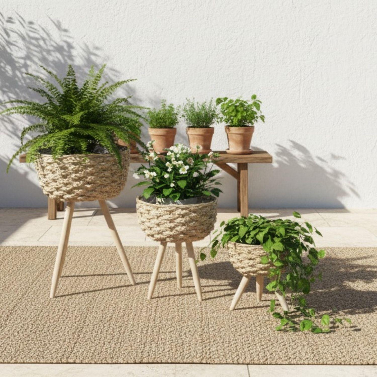 jpg_1500x1500_67128741