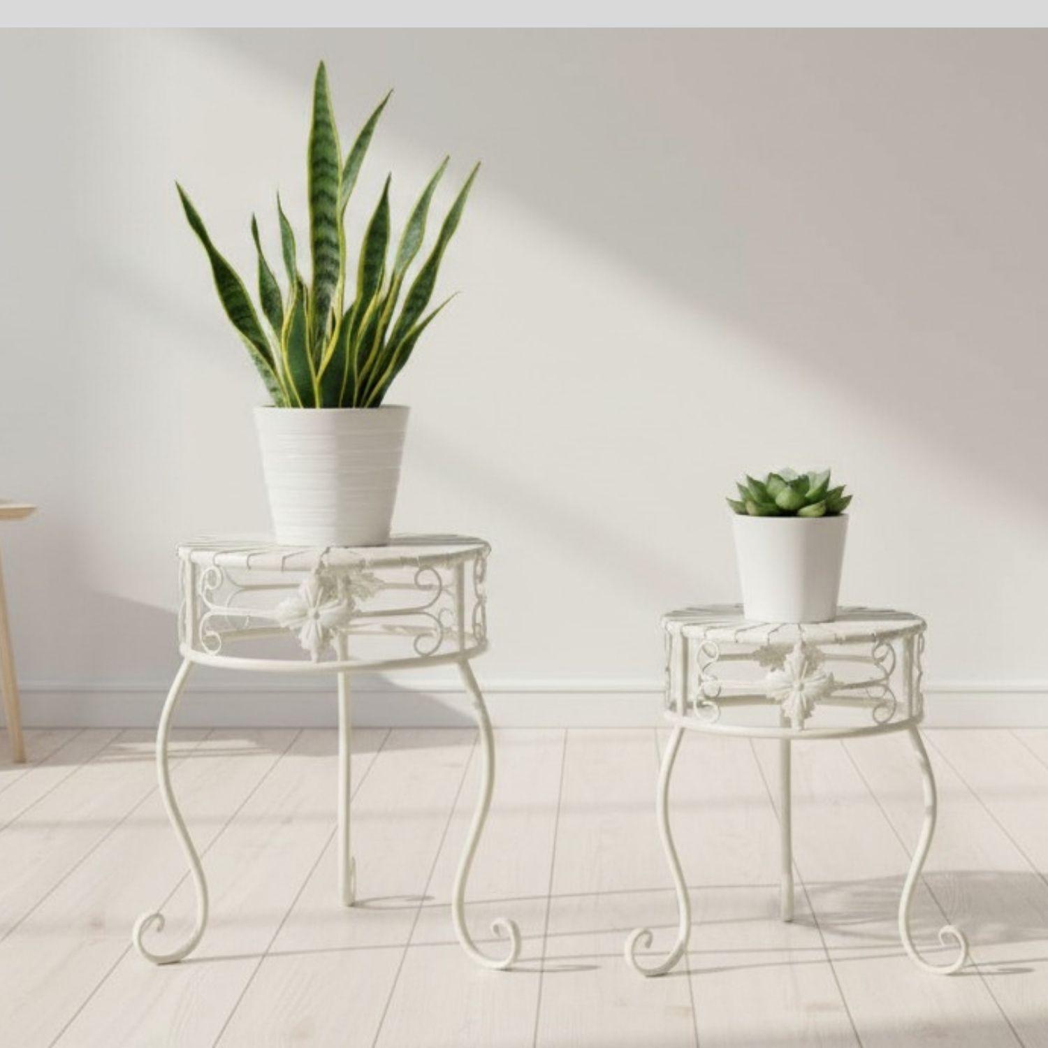 jpg_1500x1500_67006420