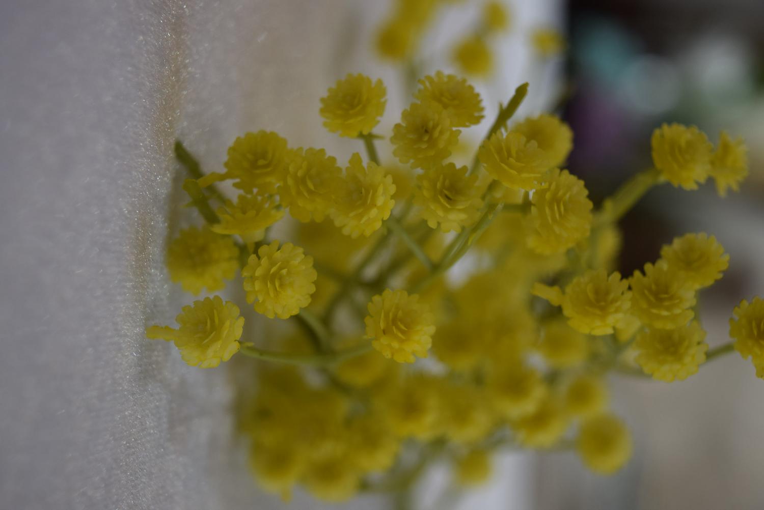 JPG_1500x1500_63912883