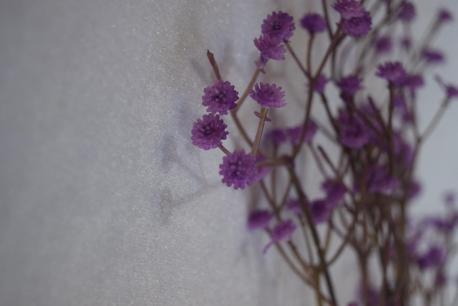 JPG_1500x1500_63912203