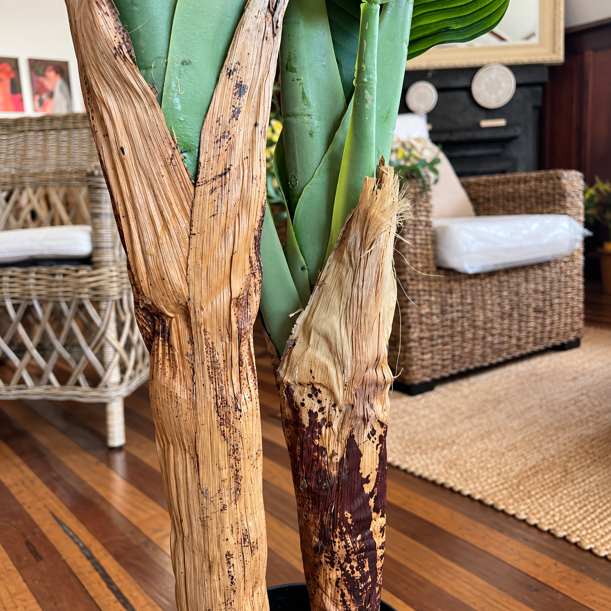Planta artificial banano con macetero