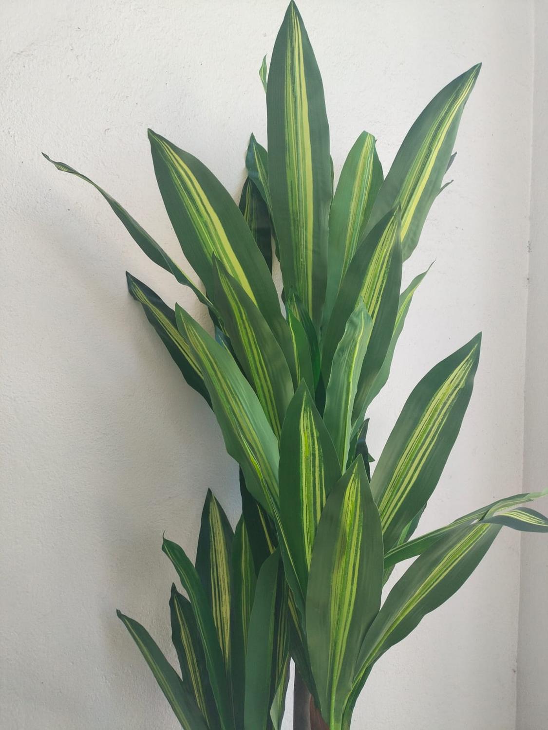 jpg_1500x1500_61837797