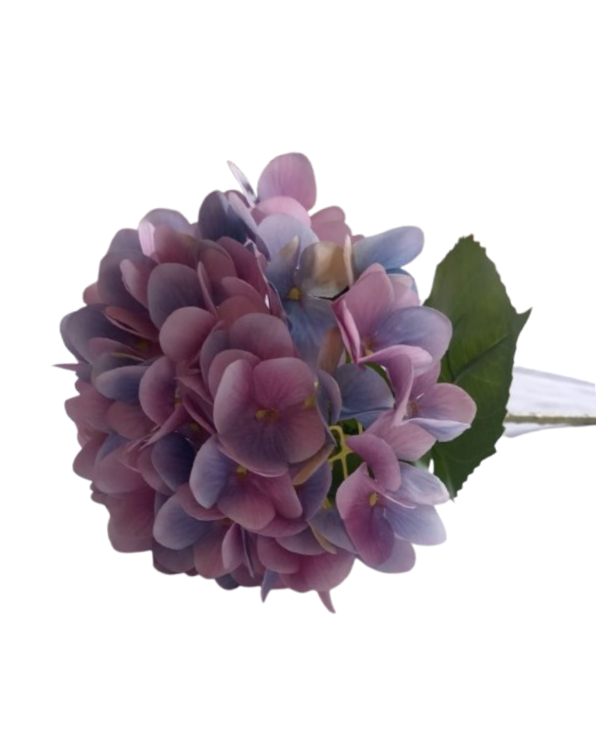 png_1500x1500_64006747