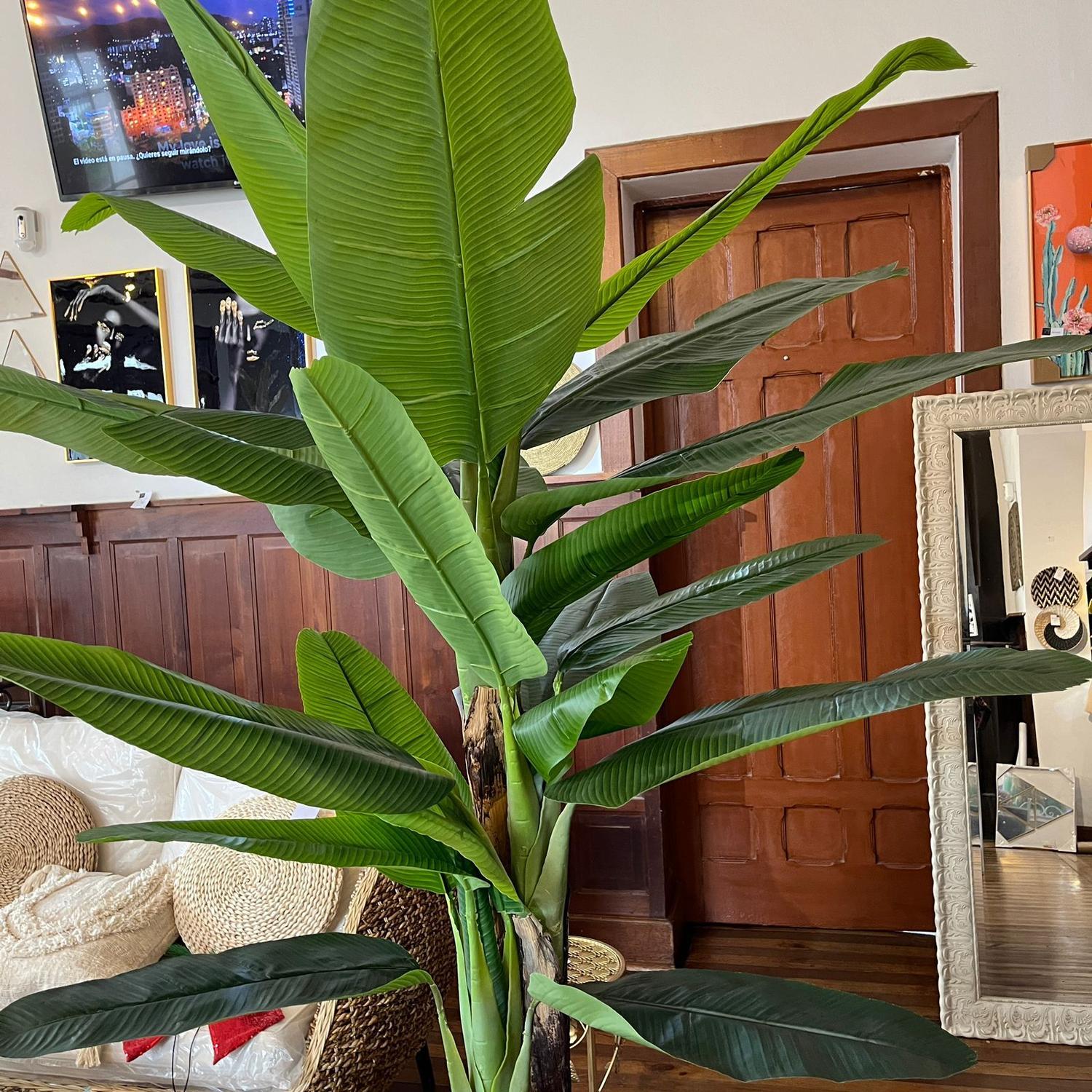 jpg_1500x1500_60595180