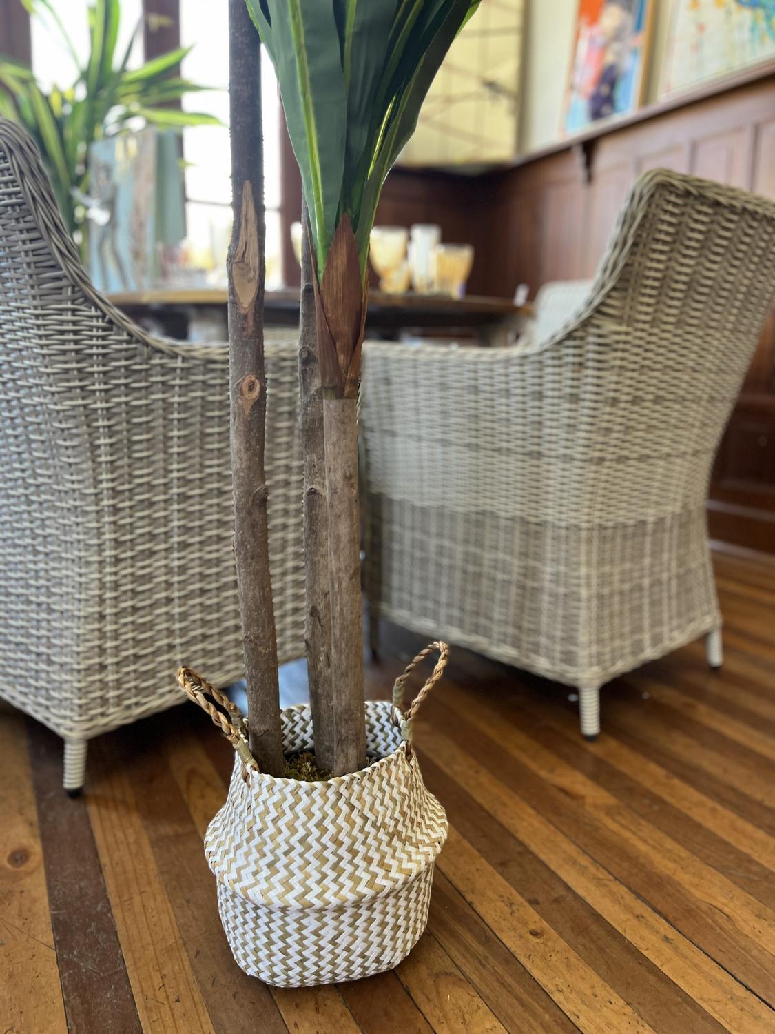 jpg_1500x1500_60595177